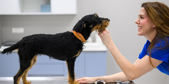 Otvorena nova veterinarska bolnica Vetti Split, centar suvremene skrbi za kućne ljubimce u Dalmaciji