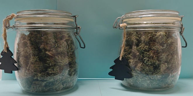 Na području Prugova oduzeto gotovo kilogram marihuane