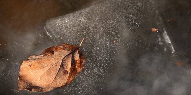 Obitelj ga je tražila gotovo 30 godina