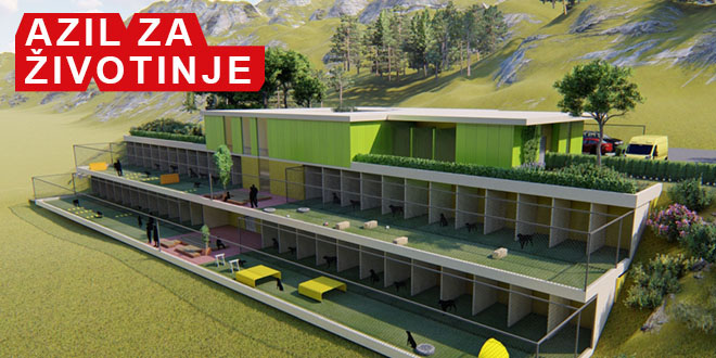 DI JE ZAPELO? O azilu za životinje: 'Gdje Boban i HDZ stanu, tu trava ne raste'
