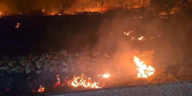 VIDEO Požar u Trnbusima