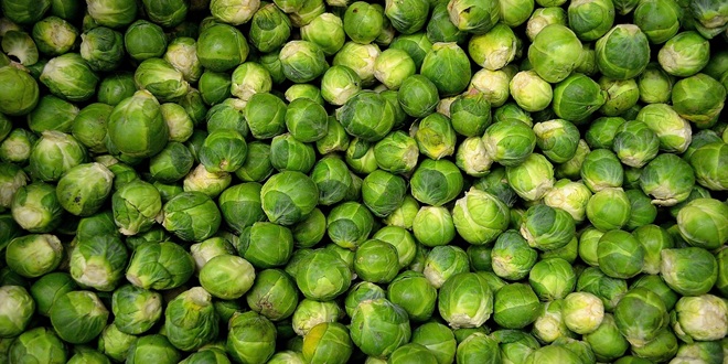 RECEPT ZA PRIKULICE Zapecite ih s vrhnjem i sirom u pećnici