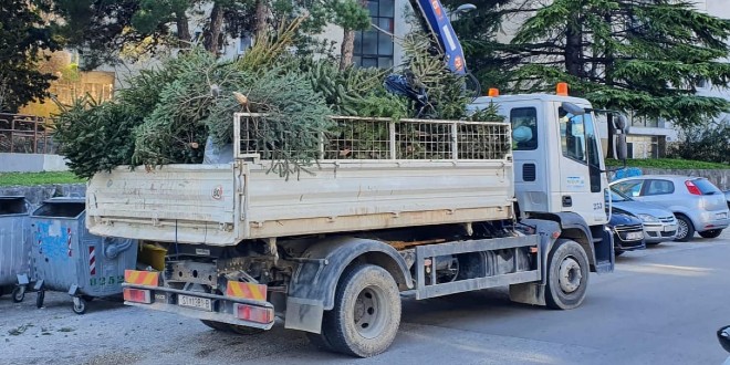 Čistoća objavila kada će početi s prikupljanjem božićnih drvaca