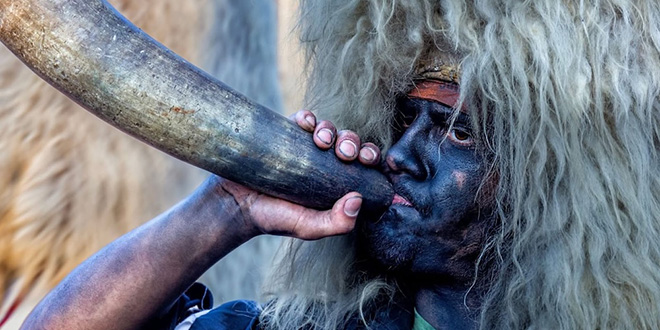 FOTOGALERIJA Stranjske mačkare iz Otoka uskoro kreću u pogode