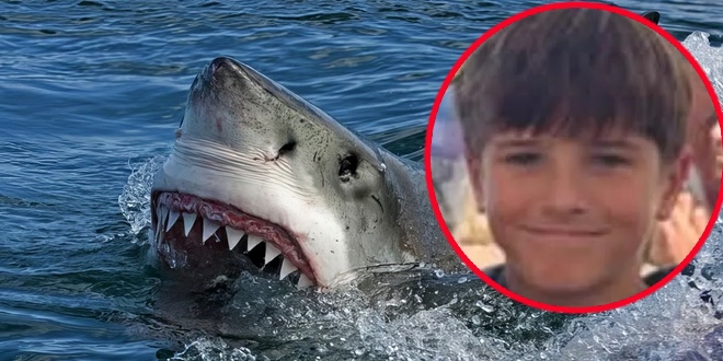 GOLEMA TUGA Dječak kojeg je napao morski pas preminuo u bolnici 