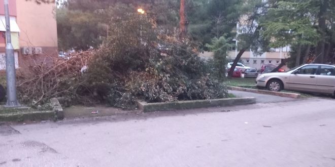 SPLIĆANIN REVOLTIRAN 'Ovo su ostavili stanari. Tko bi ovo sad trebao odvesti'