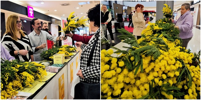 SPLIT OBILJEŽIO DAN MIMOZA 'Godišnje u Hrvatskoj oboli oko 300 žena od raka vrata maternice, više od 100 ih izgubi život'