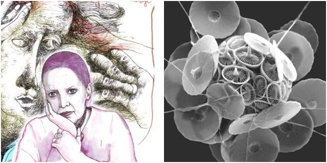 U splitskoj Sveučilišnoj galeriji izložba 'Hrvatske ikone', portretirane žene poput Kolinde Grabar Kitarović, Nele Sršen, Savke Dabčević Kučar