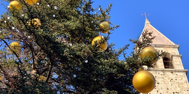 FOTOGALERIJA Bor iz centra Splita izazvao žustre rasprave