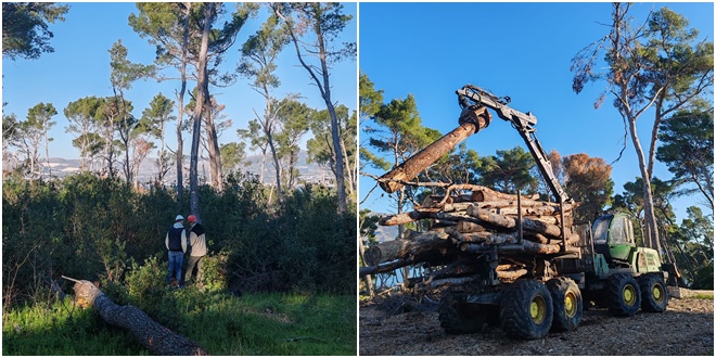 Privremeno se zatvara dio Marjana za posjetitelje, prostor će nadzirati zaštitarska služba