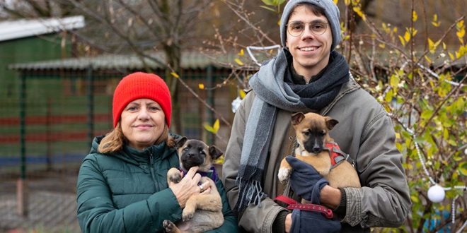 Prijatelji životinja pozvali Split da izgradi sklonište umjesto akvarija